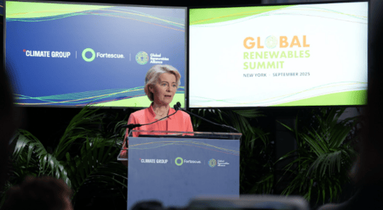 Ursula von der Leyen, President of the European Commission