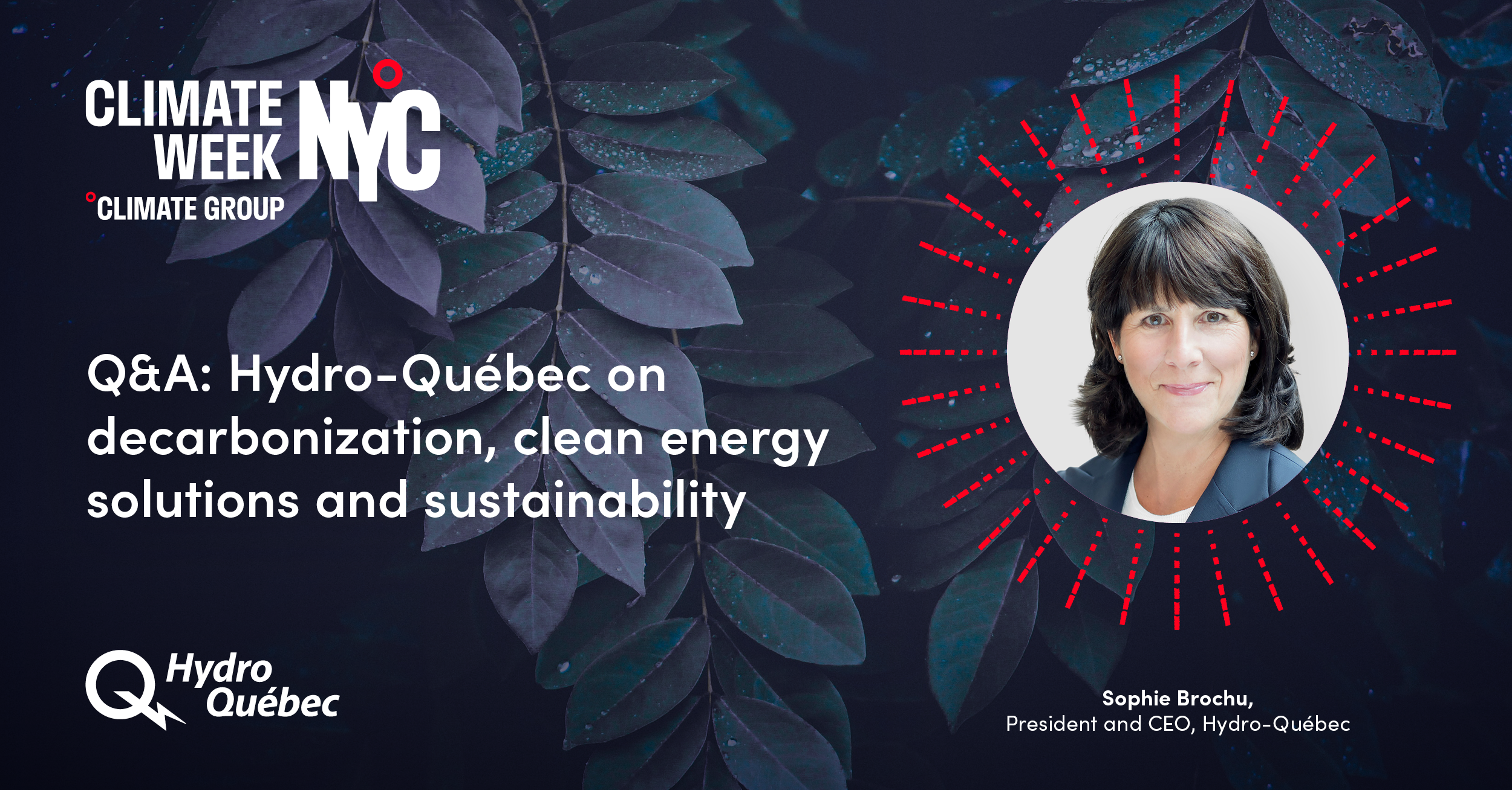 Q&A: Hydro-Québec on decarbonization, clean energy solutions and sustainability