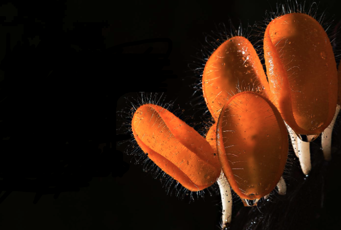 Strategies to achieve climate progress and other things we learned interviewing 30 corporate professionals