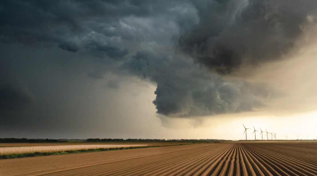 The Value of Zero: Understand how the Net Zero transition may affect shareholder value