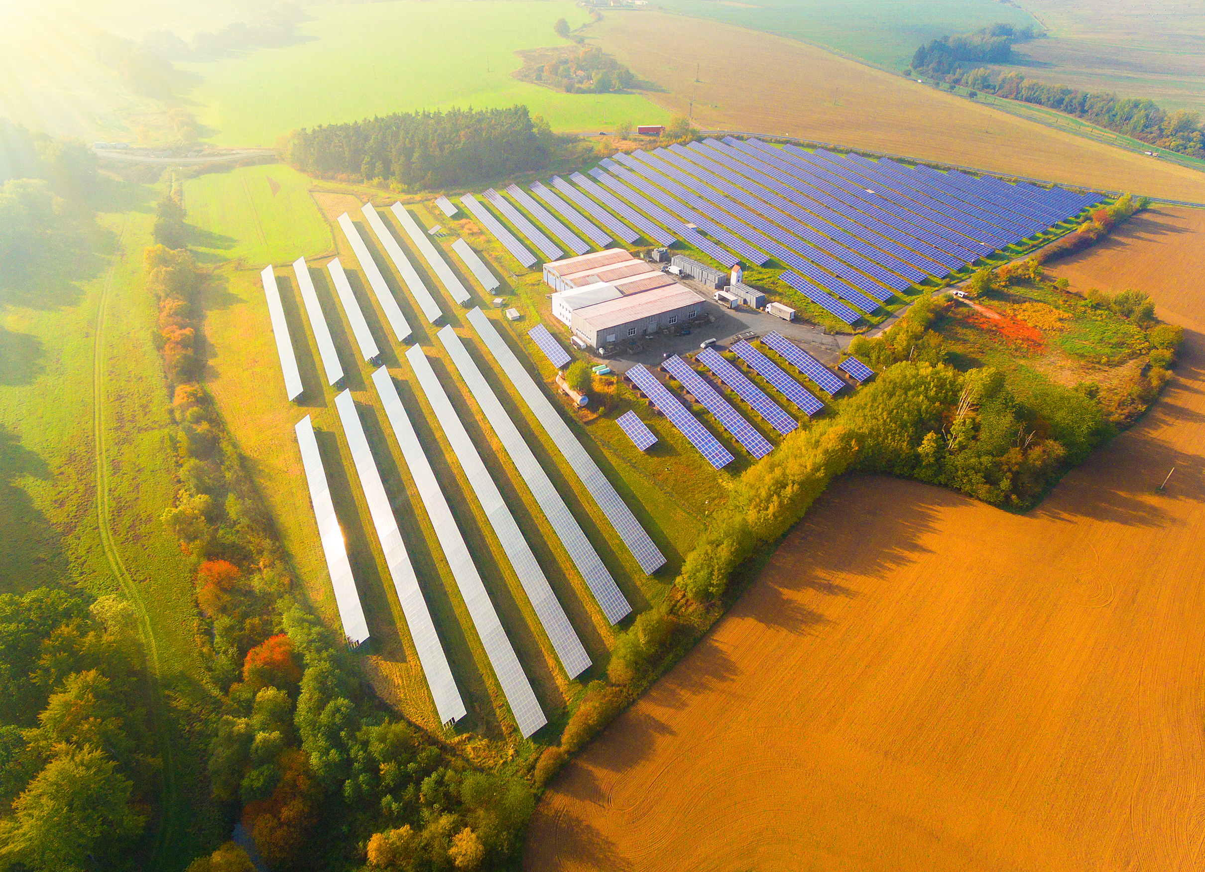 The Power of Vision: The Marketplace of the Future